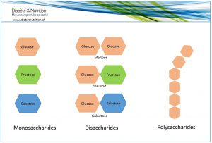Monosaccharides, disaccharides, polysaccharides, glucides