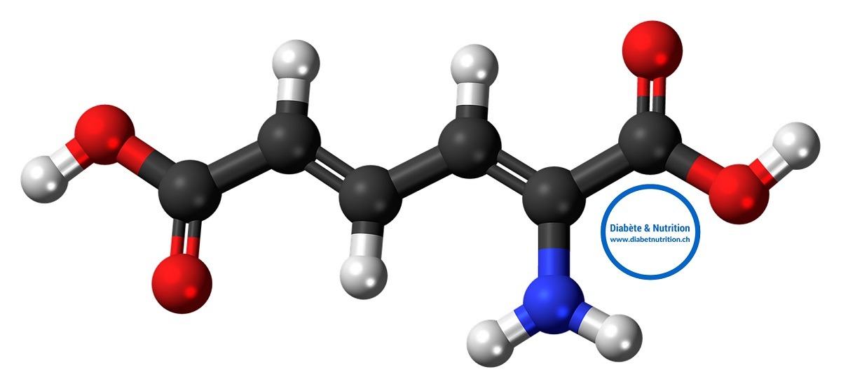 protéines, métabolisme, acides aminés