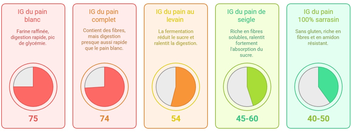 nfographie comparant l'index glycémique (IG) de 5 types de pain. Le pain blanc (IG 75) et le pain complet (IG 74) ont un IG élevé, tandis que le pain au levain (IG 54), le pain de seigle (IG 45-60) et le pain 100% sarrasin (IG 40-50) ont un IG plus bas.
